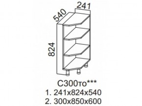 С300то Стол-рабочий 300 (торцевой открытый) в Когалыме - kogalym.magazin-mebel74.ru | фото