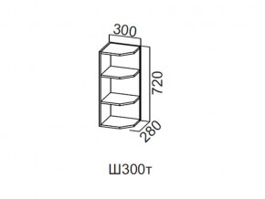 Ш300т/720 Шкаф навесной 300/720 (торцевой) в Когалыме - kogalym.magazin-mebel74.ru | фото