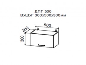 Шкаф верхний ДПГ500 горизонтальный в Когалыме - kogalym.magazin-mebel74.ru | фото