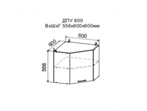 Шкаф верхний ДПУ600 угловой в Когалыме - kogalym.magazin-mebel74.ru | фото